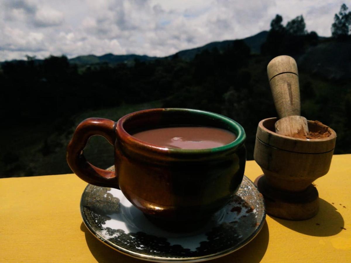 Vista Hermosa Eco Hostal Carmen de Viboral Kültér fotó